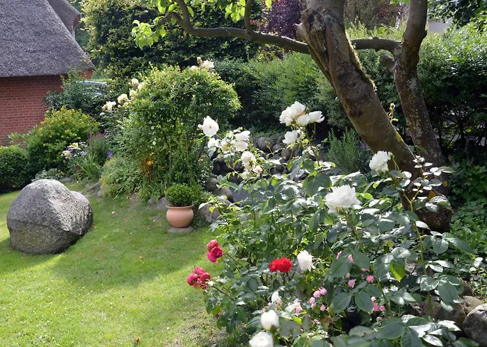 Haus-strandweg-14a-whg-01 Vakantiehuis *